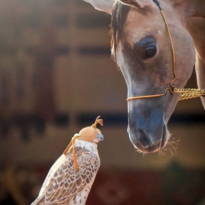 azot94's profile picture. «اللَّهُمَّ إِنِّي أَعُوذُ بِكَ مِنْ شَرِّ مَا عَمِلْتُ وَمِنْ شَرِّ مَا لَمْ أَعْمَلْ»*.