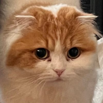 Hi_Koma_'s profile picture. 