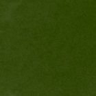 RaghuX1's profile picture. 