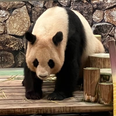 now_J_G's profile picture. かつてオタクだったもの，TL閲覧用垢