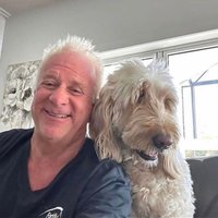Paul James (@jjames88445) 's Twitter Profile