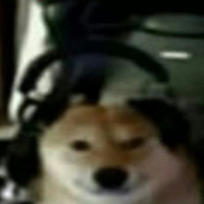 Dai369083744656's profile picture. 