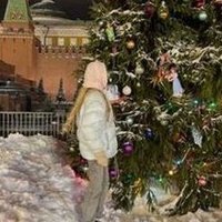 Silvia Stefano (@oofouji192732) 's Twitter Profile