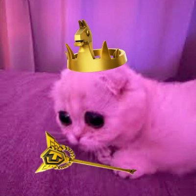 lft
roles: sentinel/initiator
player for???
F/A
dms open
my goat suygetsu