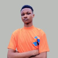 Farøuk👨💻 (@farouk_ayo) 's Twitter Profile
