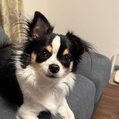 naokunn1515's profile picture. 