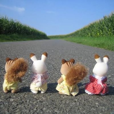 orionwals's profile picture. 