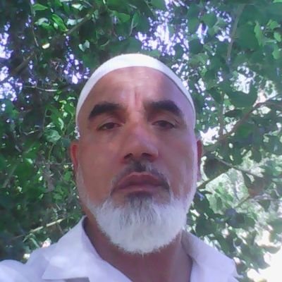 salahelboulifi's profile picture. 