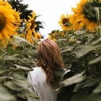 Silvia Stefano (@biefee46581) 's Twitter Profile