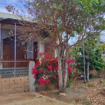 JustinStancilTC's profile picture. Uống trà, ngắm mây, tận hưởng bình yên