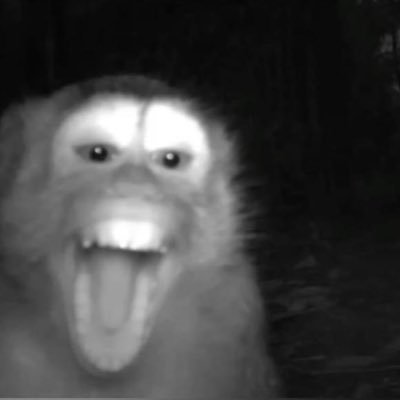 juliusfried's profile picture. 