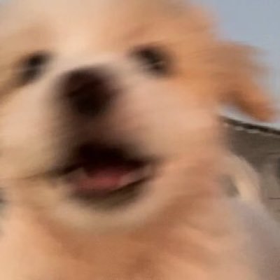 ChienEtoile's profile picture. 凡我所信必将成真