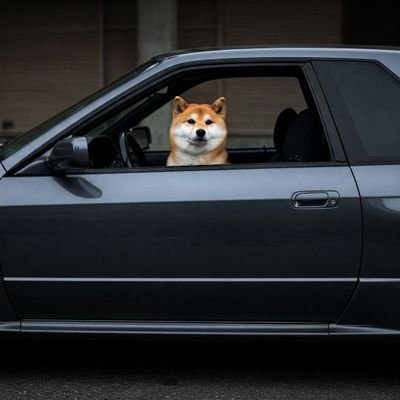 かつてR32に乗っていたしばいぬ
ジオンにジムをNTRて傷心中
色々したいけど時間がない
現在ウォーハンマーに、ドハマリ中