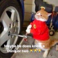 voultro (@_entian) 's Twitter Profile Photo voultro (@_entian) 's Twitter Profile Photo
