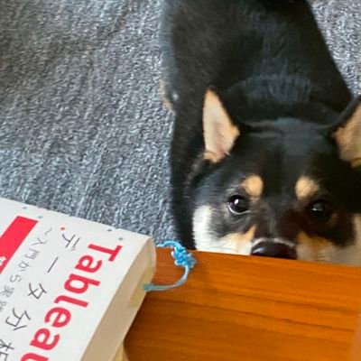 koki_data's profile picture. 2025年3月末からTableauを始めました。絶賛勉強中です。