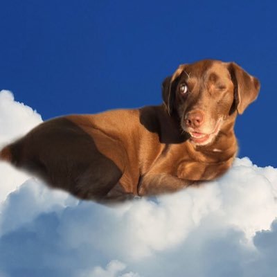 WestonRutledge1's profile picture. 