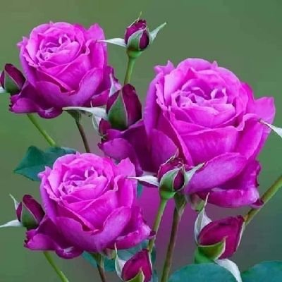 Am KARTHICK
LIFE IS SHORT ENJOY ENJOY ENJOY ENJOY 😉 😊 😀 😘 ☺️