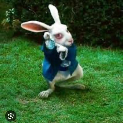 Si sos impuntual no me invites a tomar un café. Atea y nacida de cuna de izquierda.