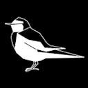 k2_gc_prog's profile picture. エンジニア/AI/画像/LeetCoder/kaggler/とき宣！