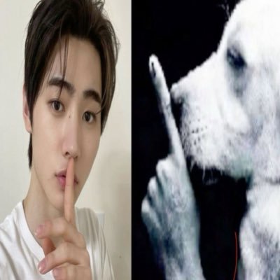 nosoyanhieyoi's profile picture. m gusta repetir animes y comer cheetos😝