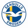 SeagullsSweden's profile picture. Following Brighton & Hove Albion since 2010 🇸🇪🇬🇧