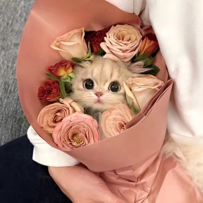 lrene83417549's profile picture. 