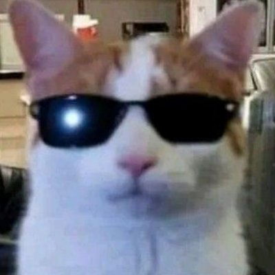 kob_vt's profile picture. awesome