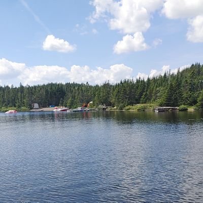 RobertM70037391's profile picture. Millennial Boomer

Partisan Politics are ruining Canada