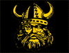 #ATB #TK Being A Vikings Is The Life to live