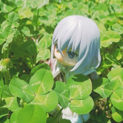 清純野人さんのプロフィール画像