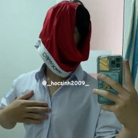 Sắp lên lớp 11 (@_hocsinh2009_) 's Twitter Profile