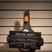 Jake (@cakleton) 's Twitter Profile