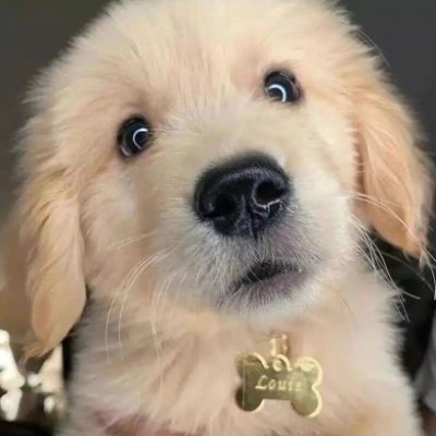 peterriley88's profile picture. 