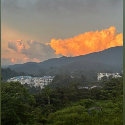 AreejHaider8's profile picture. living against my will