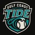Gulf Coast Tide (@gulfcoasttide) Twitter profile photo Gulf Coast Tide (@gulfcoasttide) Twitter profile photo