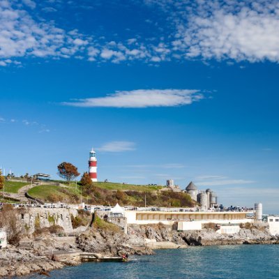 rainbowtokeneth's profile picture. 