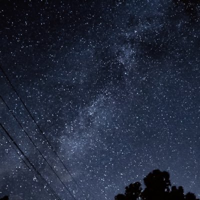 yzyzyzyzzzzx's profile picture. 