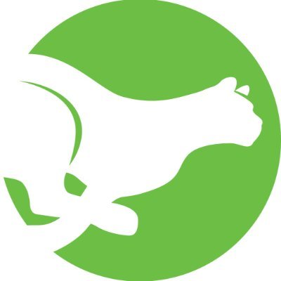 Follow for up-to-date rider alerts; find everything else at https://t.co/oyfyAEtU0b.