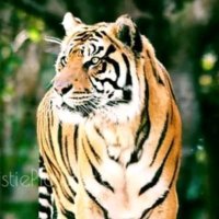Nandkishor Bhardwaj (@nandkishor27746) 's Twitter Profile