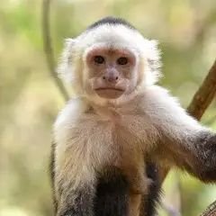 alternympho69's profile picture. 