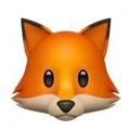 ndkz141153's profile picture. ただの日本人でキャッチフレーズメーカーを目指す🦊です。収益化とか致しません。転載引用ご自由に。表舞台にゃ出ていきません。六四天安門