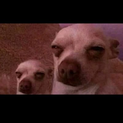 HDaakir59838's profile picture. 