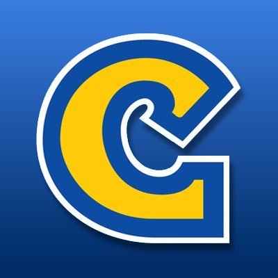 العربية CAPCOM Profile