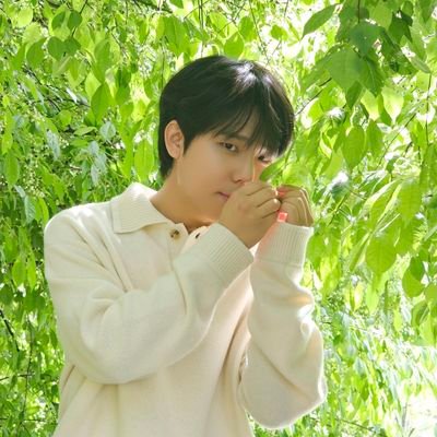 __starryseung_'s profile picture. 💛정승환💚US💙