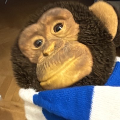 Göteborgare som strävar mot ekonomisk frihet. Förutom börsen ligger träning, historia, esport och vyer mig varmt om hjärtat.