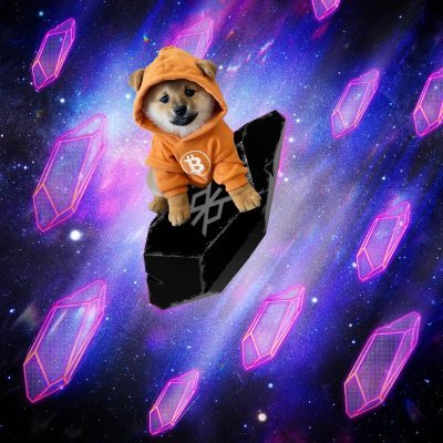 Pusutem's profile picture. Environmentalist
Web3
Fashion
Sports