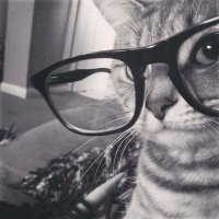 ๐๐ซ๐ข (@dri0lly) 's Twitter Profile