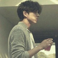 のら (@stray__cat____) 's Twitter Profile