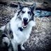 Eric Jones (@hikingwithsilas) Twitter profile photo Eric Jones (@hikingwithsilas) Twitter profile photo