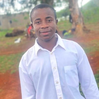 BovarisTchofor's profile picture. just a computer science student who is passionate about Cyber Security, Ethical Hacking and Reverse Engineering